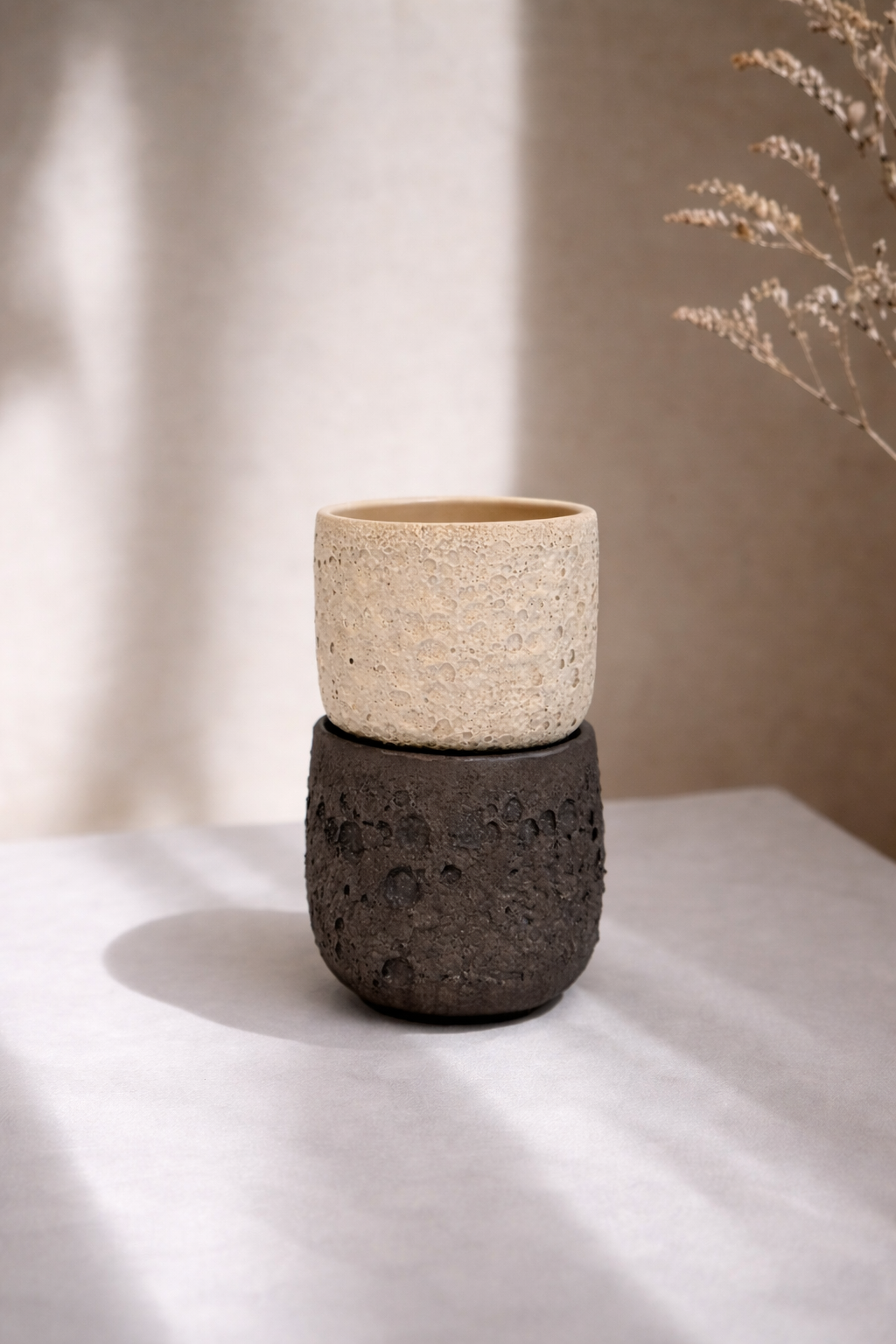 Cup Terra – Bild 4