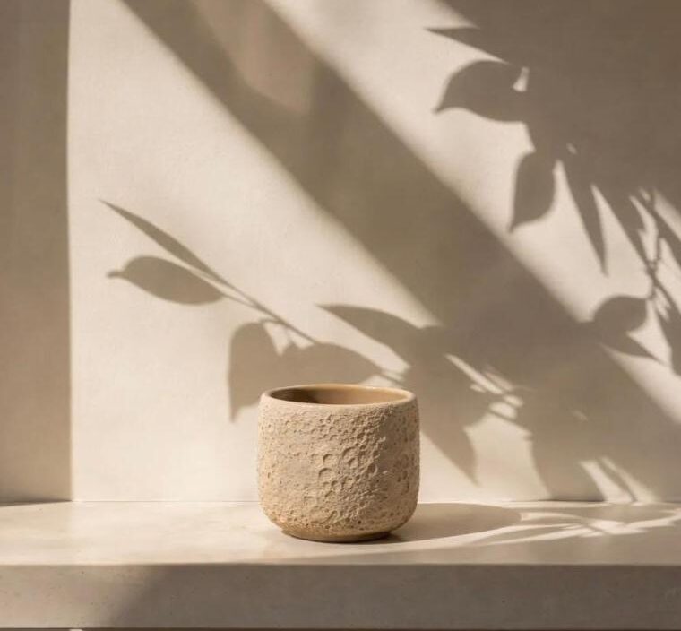 Cup Terra